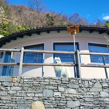 Hollywood Fuer 5 Personen Tor Zum Valle Versasca Appartamento Gordola